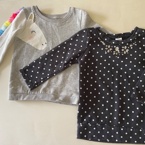 Carter’s 2T Girls Sweatshirts (set of 2 shirts) - Picture 5 of 13